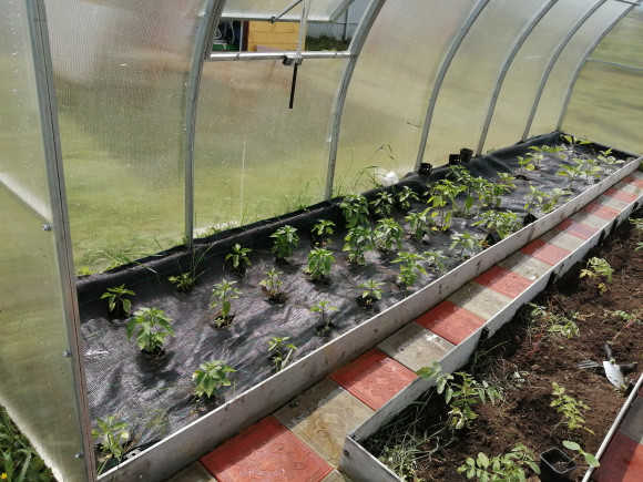 Агротекстиль Agrojutex 100г/м2 - 1.65x100м Агротекстиль Agrojutex 100г/м2 - 1.65x100м